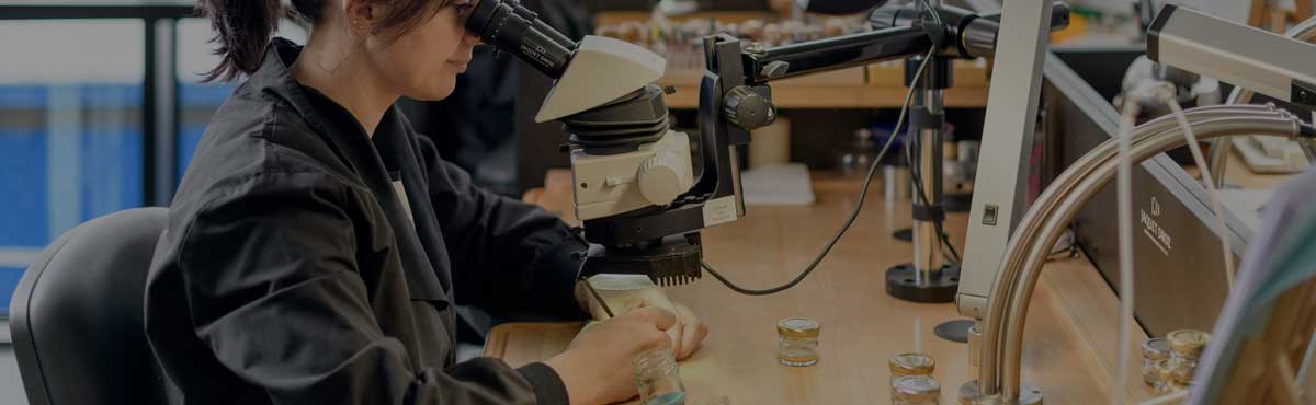 瑞士军表官方售后维修服务中心网点