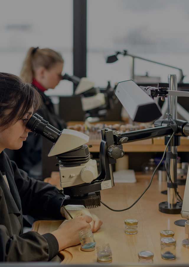 瑞士军表官方售后维修服务中心网点